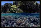 Uepi Solomon Islands